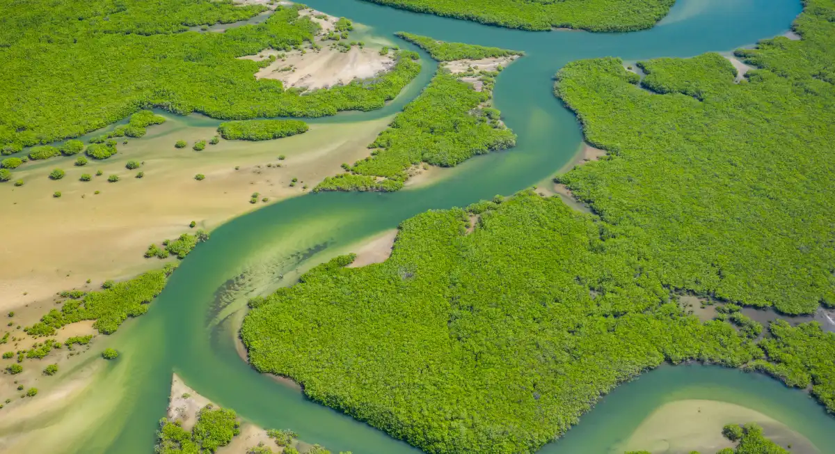 Kosoms Environment